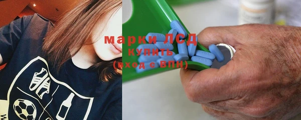 прущие грибы Алзамай