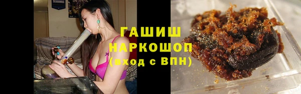прущие грибы Алзамай