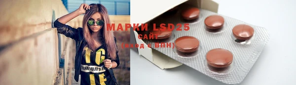 прущие грибы Алзамай